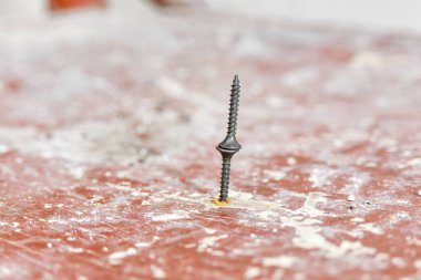 Birbirini beceren iki vida..