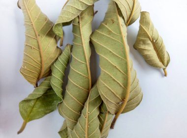 Beyaz arkaplanda kurumuş guava yaprakları var.
