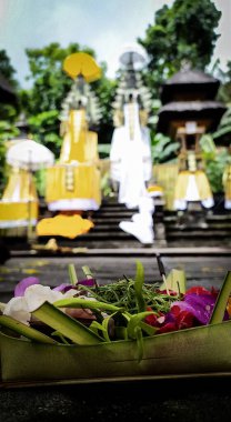 Odaklanmış küçük bir adak, çiçek ve Hindu Tapınağı 'ndaki genç hindistan cevizi yaprakları.