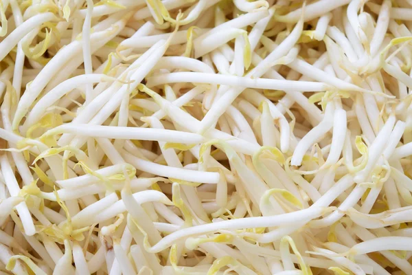 Asian Bean Sprouts Texture — Stock Photo, Image