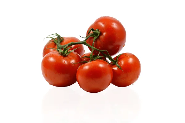 Пучок червоних помідорів — стокове фото