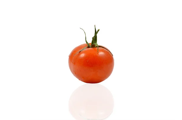 Tek kırmızı domates — Stok fotoğraf