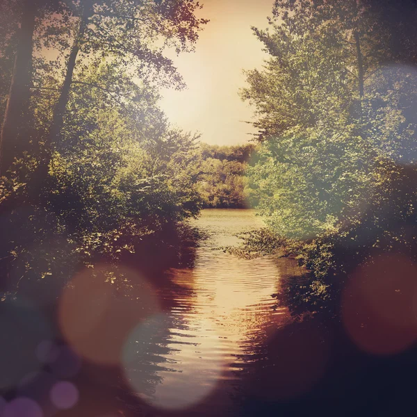 Landscape with a mountain stream — Stock Photo, Image