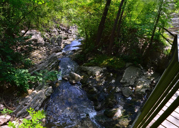 Nehir ile Panorama — Stok fotoğraf