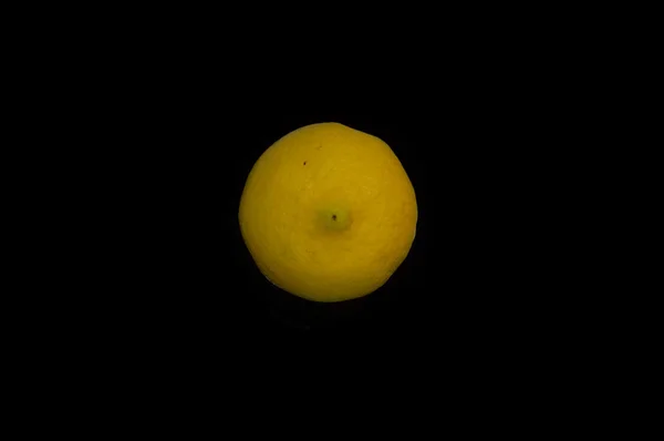 Einzelne gelbe Zitrone — Stockfoto