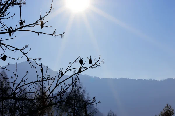 Mountain landscape with blue sky — Stock Photo, Image