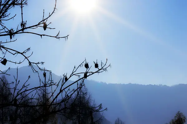 Mountain landscape with blue sky — Stock Photo, Image