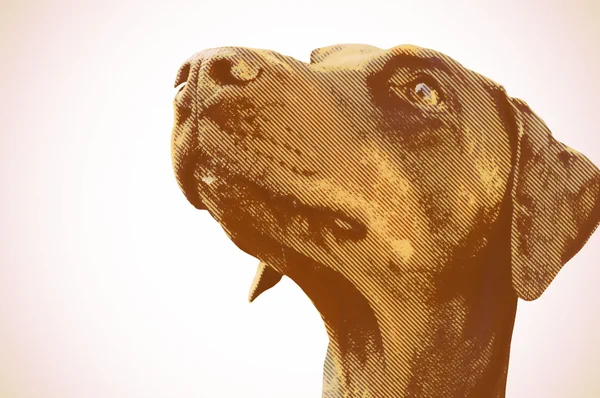 Fotomontage, brauner Hund wartet — Stockfoto