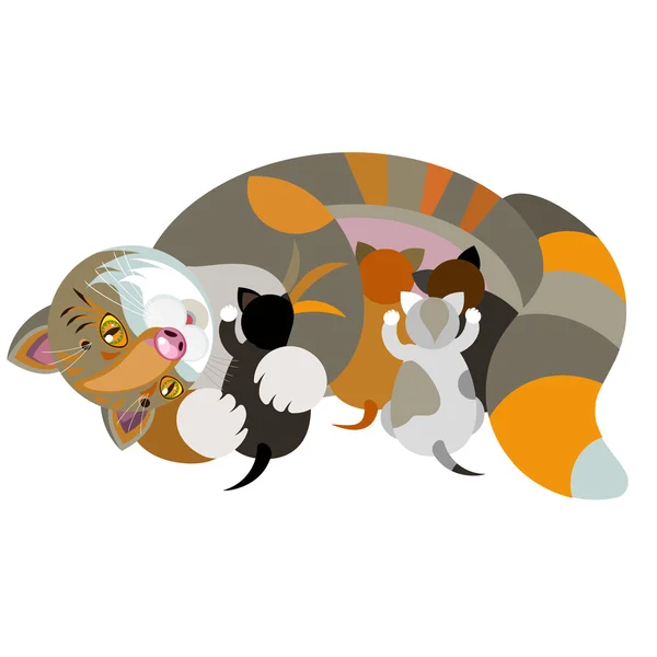 beyaz zemin üzerinde yavru kedi