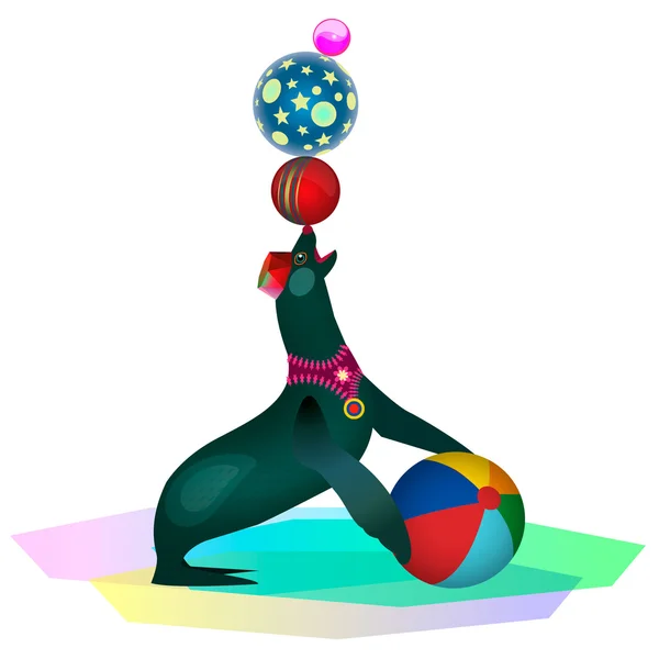 Sirk mühür topları ile