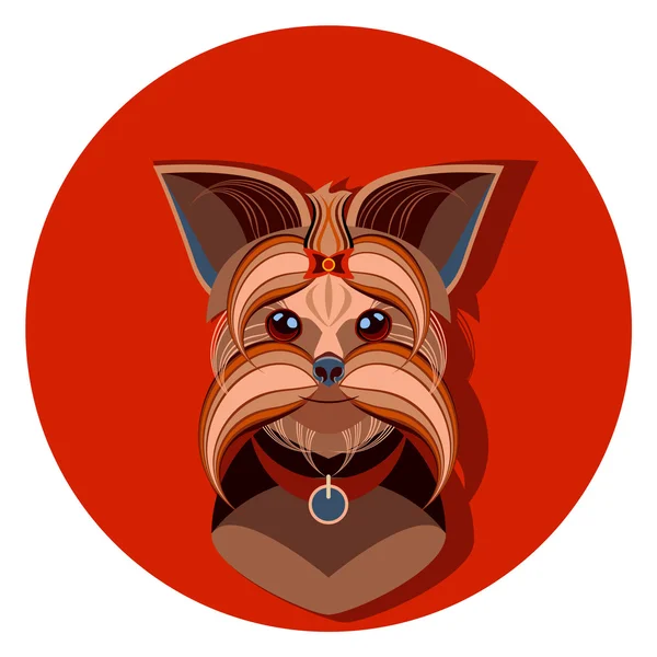 Yorkshire Terrier köpek yüzlü - vektör çizim