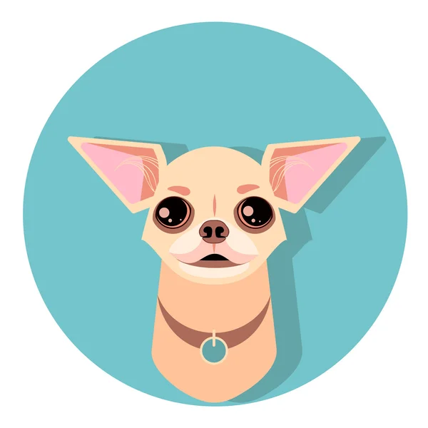 Cara de perro chihuahua - ilustración vectorial — Archivo Imágenes Vectoriales