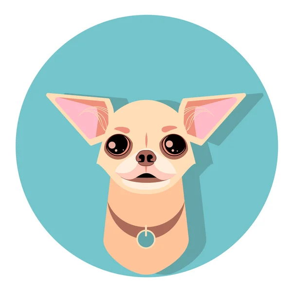 Chihuahua köpek yüzlü - vektör çizim