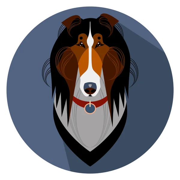 Collie hond gezicht - vectorillustratie — Stockvector