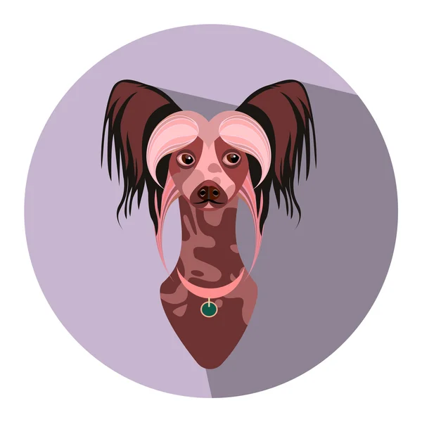 Çin Tepeli Köpek. düz illüstrasyon