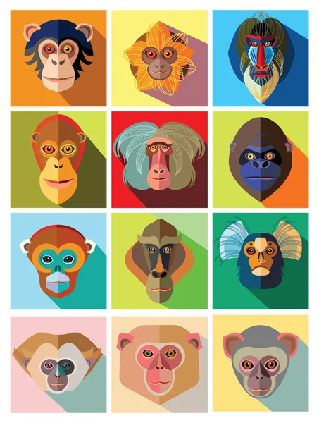 On iki maymun düz tasarım farklı doğurmak simgelerin