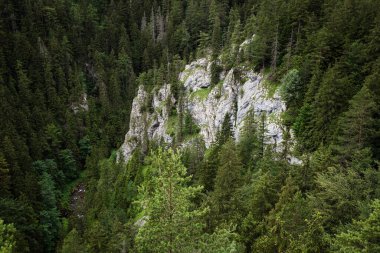 Kvacianska Vadisi, Liptov bölgesi, Slovakya 'nın güzel doğası.