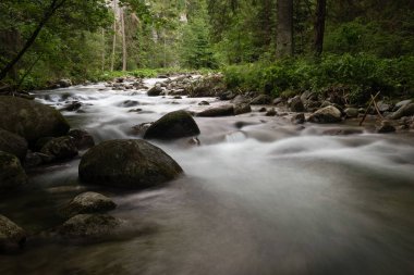 Demanovka Nehri, Low Tatras, Slovakya 'daki kayalar