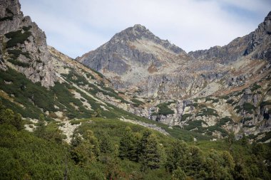 Slovakya 'nın yüksek Tatras dağlarında Skok şelalesi