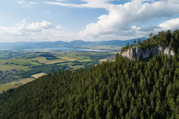 Vista Aérea Del Bosque Valle Demanovska Con Presa Liptovska Mara — Foto de Stock