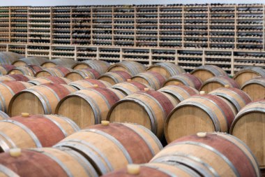 Şarap mahzeninde depolamak için ahşap şarap fıçıları