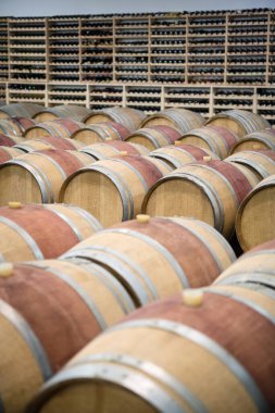Şarap mahzeninde depolamak için ahşap şarap fıçıları