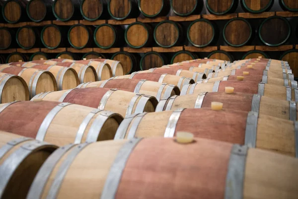 Wooden wine barrels for storage in wine cellar