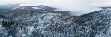 Kış ormanlarının panoramik manzarası ufukta bulutlar, Küçük Karpatlar, Slovakya