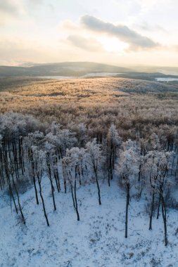 Kış ormanlarında karların üzerinde gün batımının havadan görünüşü.
