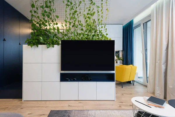 现代公寓内部的电视墙和橱柜 — 图库照片