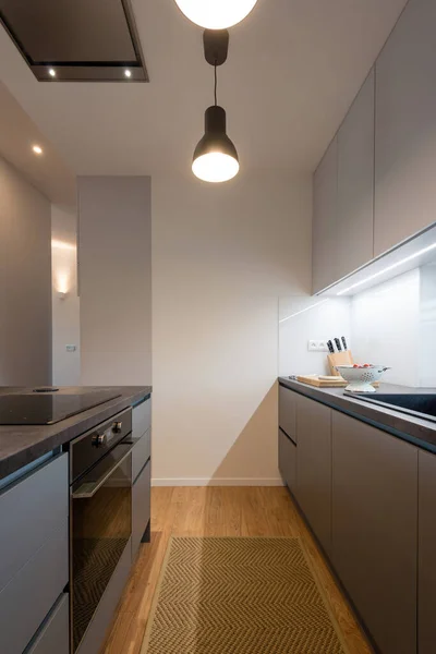 Interior of contemporary kitchen with built-in appliances