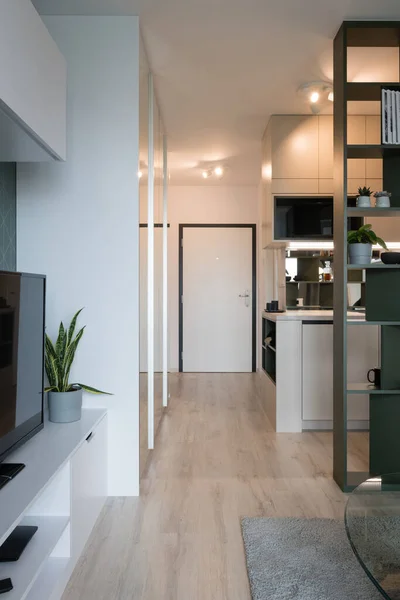 Interieur Van Modern Stijlvol Appartement — Stockfoto