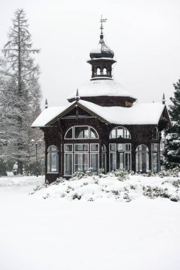 KARLOVA STUDANKA, CZECH REPUBLIC JAN 2, 2019: Kışın Spa Pavyonu, Karlova Studanka, Jeseniky, Çek Cumhuriyeti. Eski başkan Vaclav Havel 'in tedavi edildiği ünlü spa.