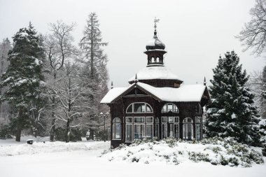 KARLOVA STUDANKA, CZECH REPUBLIC JAN 2, 2019: Kışın Spa Pavyonu, Karlova Studanka, Jeseniky, Çek Cumhuriyeti. Eski başkan Vaclav Havel 'in tedavi edildiği ünlü spa.