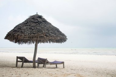 Paje, Zanzibar, Tanzanya sahilinde bir şemsiye.