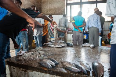 Taştan Şehir, Zanzak - 4 Ocak 2018: