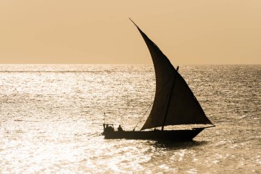 Günbatımında yelkenli dhow, Zanzibar