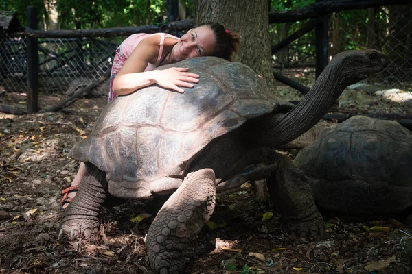 Mujer Sosteniendo Tortuga Gigante Aldabra Santuario Tortugas Reserva Isla Prisión —  Fotos de Stock