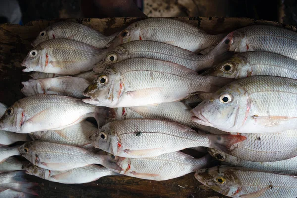 Parceiro Branco Mercado Peixe — Fotografia de Stock
