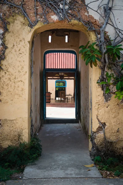 Gate Door Building Prison Island Zanzibar — стоковое фото