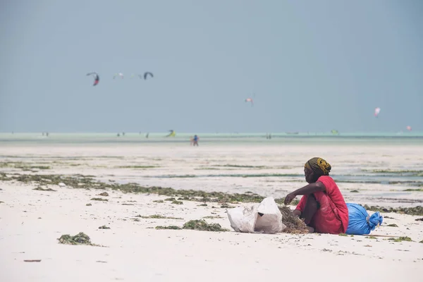 Paje Zanzibar Dec 2017 Mulher Local Que Classifica Algas Marinhas — Fotografia de Stock