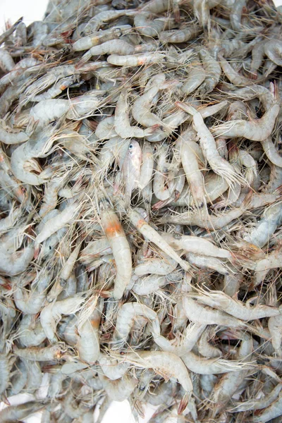 Γαρίδες Στην Αγορά Θαλασσινών Της Ζανζιβάρης — Φωτογραφία Αρχείου