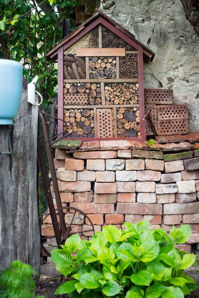 Uma Bela Casa Insetos Madeira Jardim — Fotografia de Stock