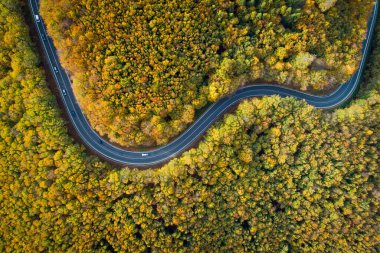 Aerial view of winding road  thorugh Pezinska baba forest in autumn colors, Slovakia