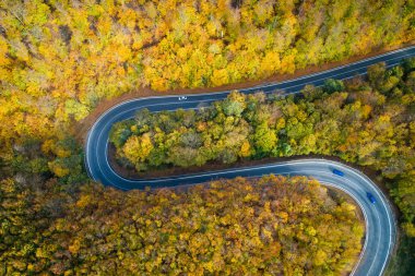 Aerial view of winding road  thorugh Pezinska baba forest in autumn colors, Slovakia