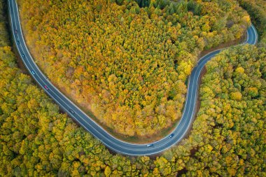 Aerial view of winding road  thorugh Pezinska baba forest in autumn colors, Slovakia