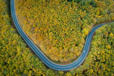 Aerial view of winding road  thorugh Pezinska baba forest in autumn colors, Slovakia