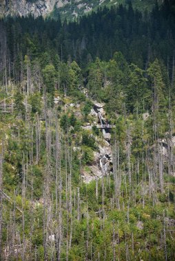 Slovakya 'nın yüksek Tatra dağlarında dev şelale