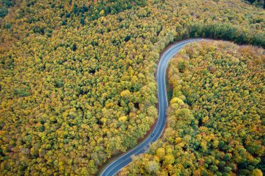 Aerial view of winding road  thorugh Pezinska baba forest in autumn colors, Slovakia