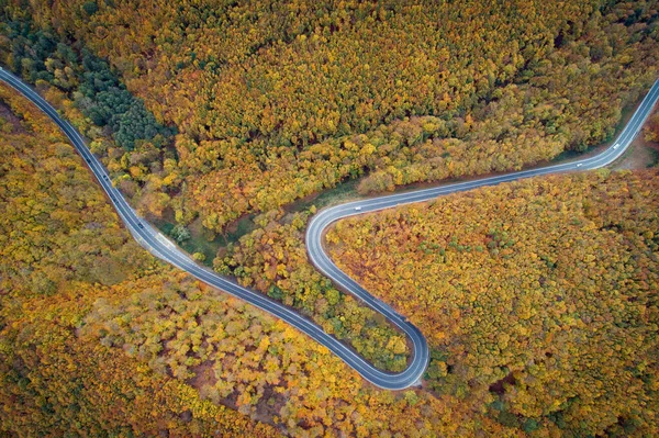 Luftaufnahme Der Kurvenreichen Straße Durch Pezinska Baba Wald Herbstfarben Slowakei — Stockfoto